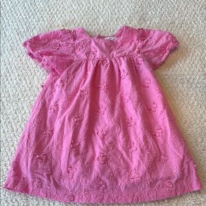 Zara Pink Embroidered Kids Dress